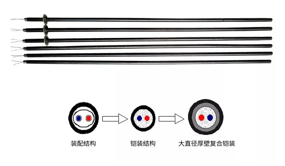 微信图片_2026-03-11_155114_872