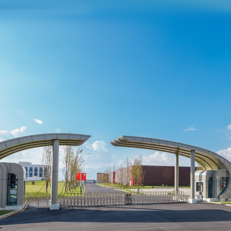 Вакцина “Ти Фу Лай” от компанииХуауй Биотех  получила новый класс ветеринарных препаратов, нацеленных на устранение глобальных эпидемий