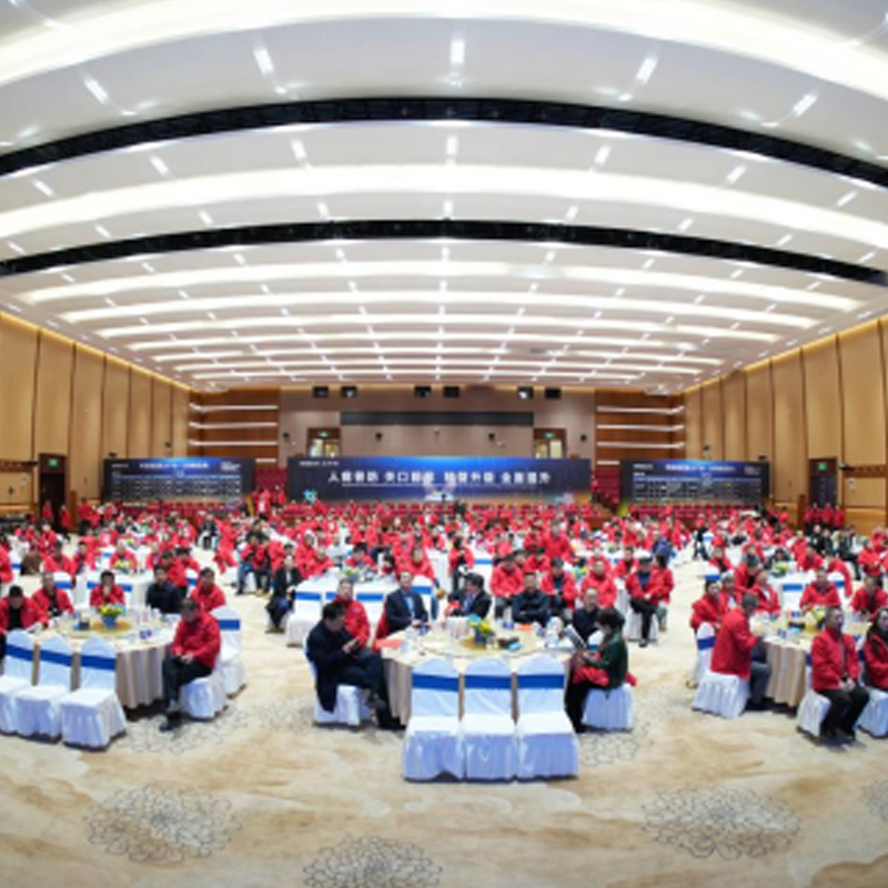 Великое начало в Тэнчун! Компания  официально выпустила на рынок вакцину против ящура на основе вирусоподобных частиц (VLPs). Состоялся форум по высококачественному развитию животноводства и конференция по производству и сбыту поросят в пяти провинциях