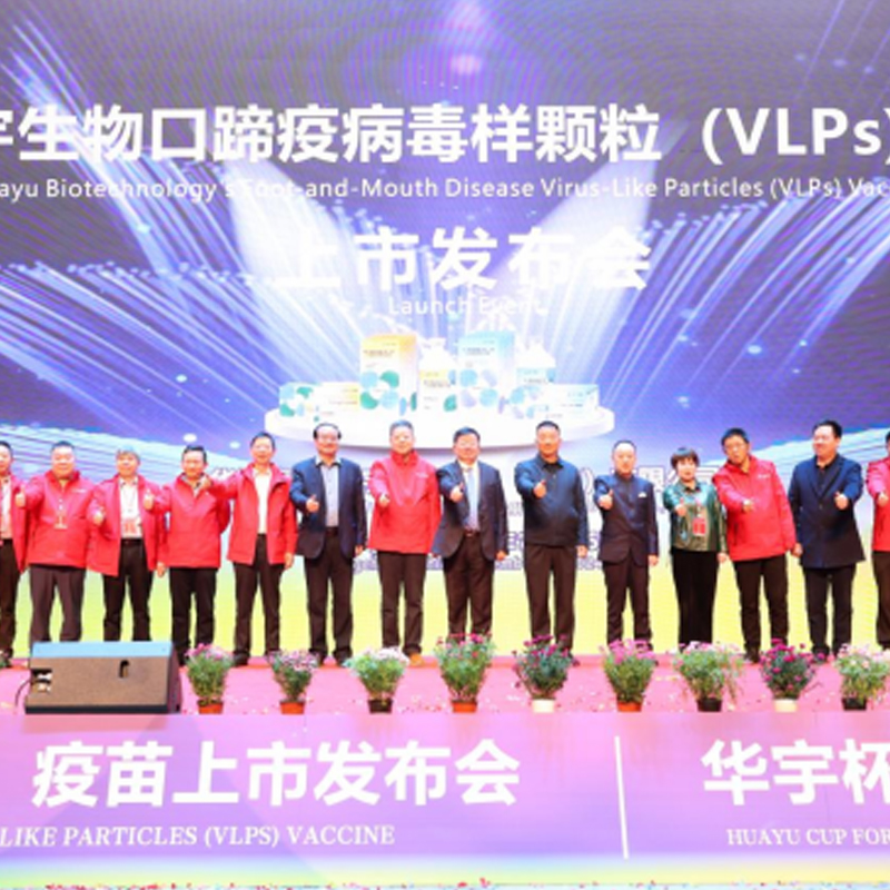 Революционнай прорыв! Вакцина против орально-пухлинного заболевания на основе VLPs компании «Хуауй Биотех» сенсационно вышла на рынок, способствуя трансформации и модернизации животноводства — Форум в Тэнчун прошёл в небывалом размере
