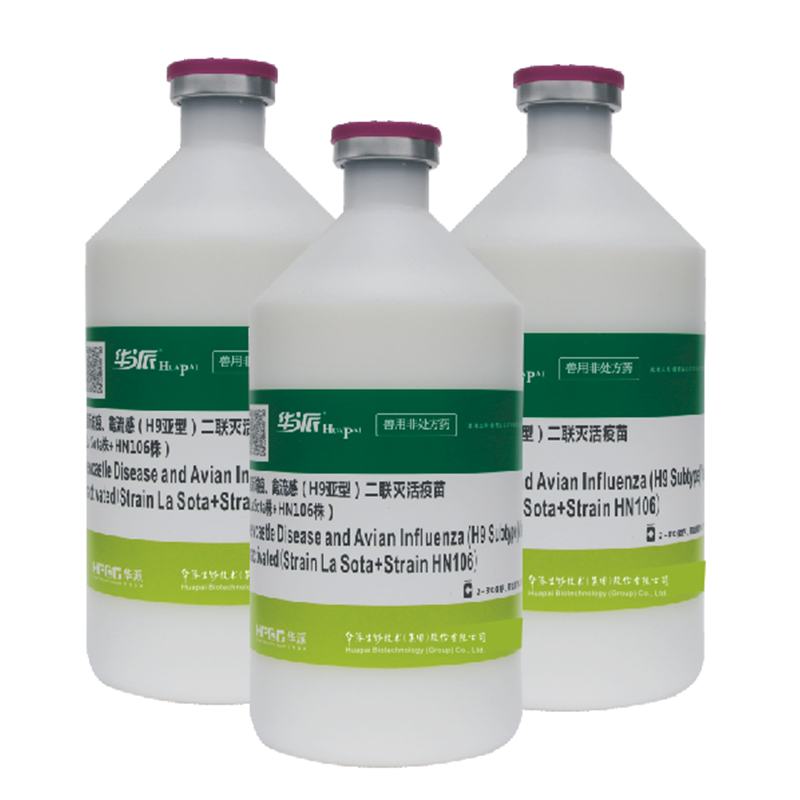 Бивалентная инактивированная вакцина против болезни Ньюкасла и гриппа птиц (подтип H9) (штаммы La Sota + HN106)