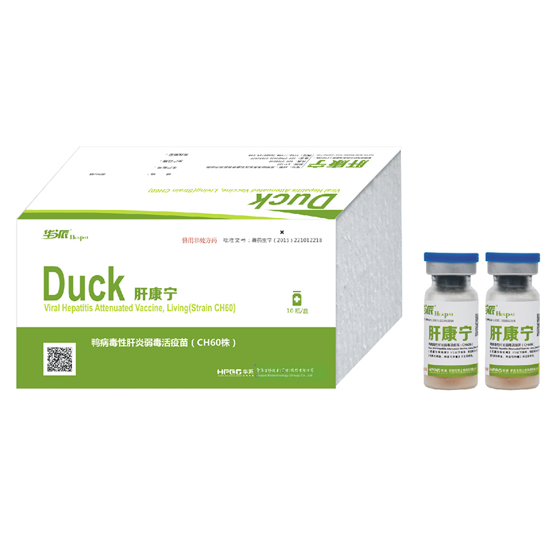 Живая аттенуированная вакцина против вирусного гепатита уток (штамм CH60)
