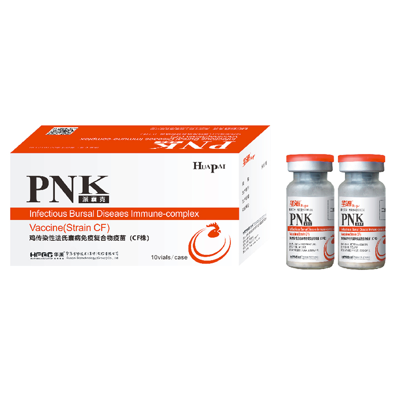 Иммунокомплексная вакцина против инфекционной бурсальной болезни кур (штамм CF)
