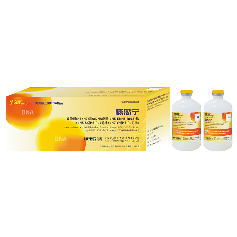 Трехвалентная ДНК-вакцина против гриппа птиц (H5+H7) (штаммы pH5-FJ (H5-Re13) + pH5-SX (H5-Re14) + pH7-YN (H7-Re4))