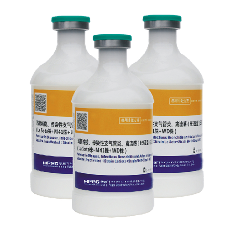 Тривалентная инактивированная вакцина против болезни Ньюкасла, инфекционного бронхита и гриппа птиц (подтип H9) (штаммы La Sota + M41 + WD)