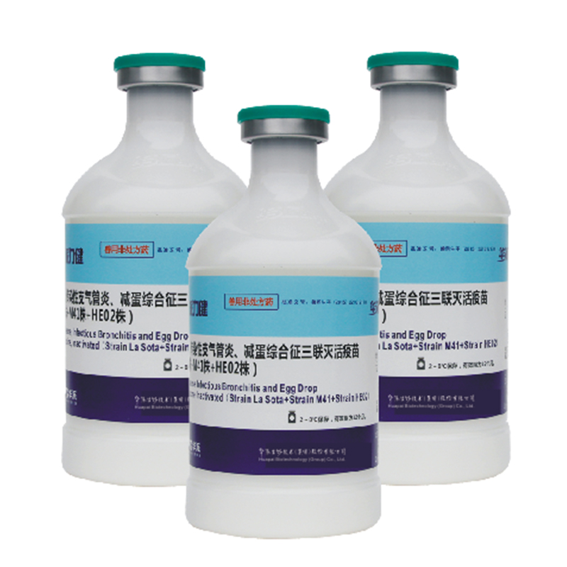 Тривалентная инактивированная вакцина против болезни Ньюкасла, инфекционного бронхита и синдрома снижения яйценоскости (штаммы La Sota + M41 + HE02)