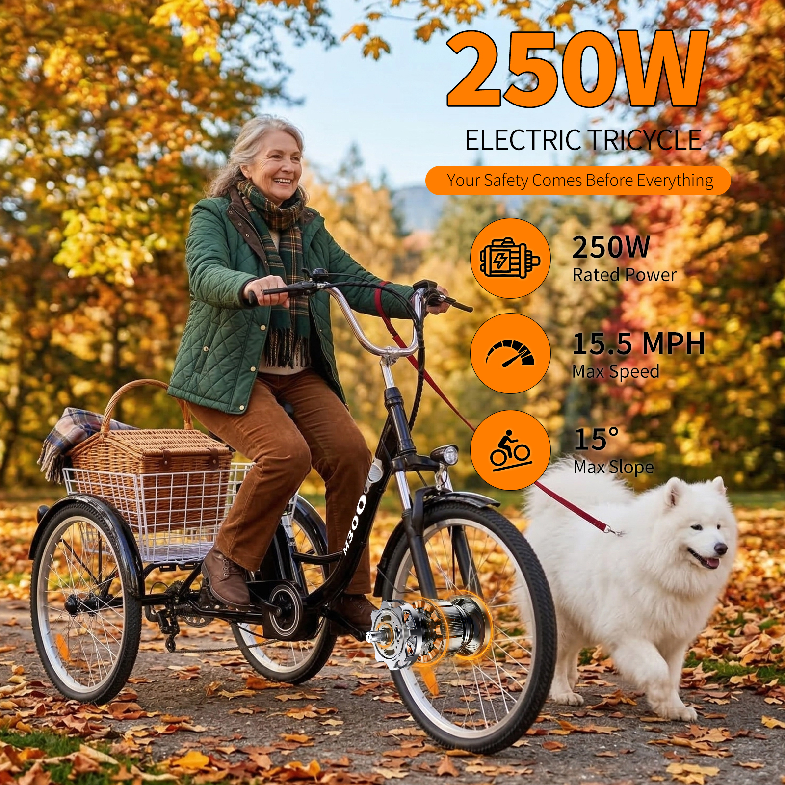 Электрический трицикл M300 ,36V, 3 режима скорости, 7‑скоростная трансмиссия,