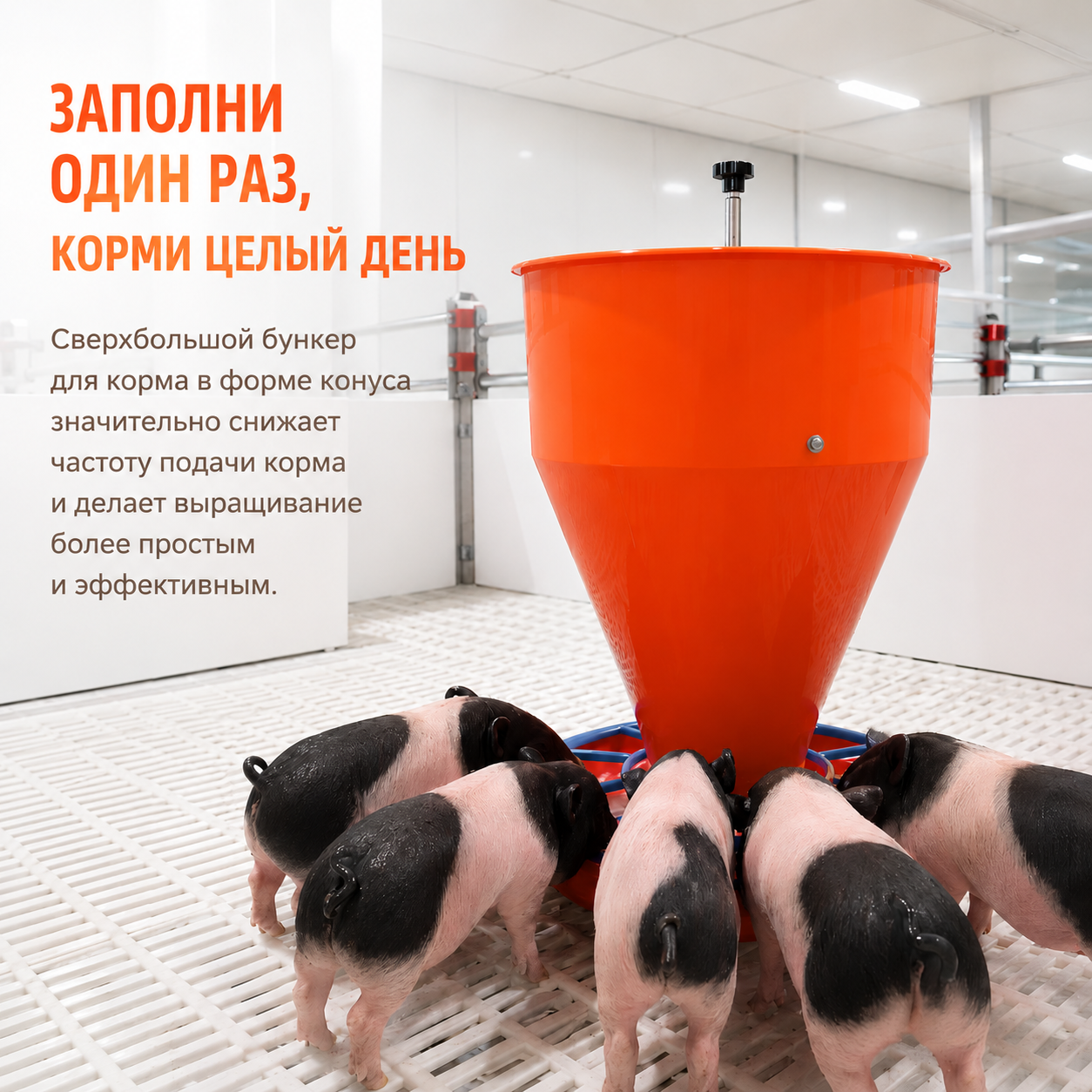 Новая кормушка для поросят после отъема — эффективное решение для раннего кормления
