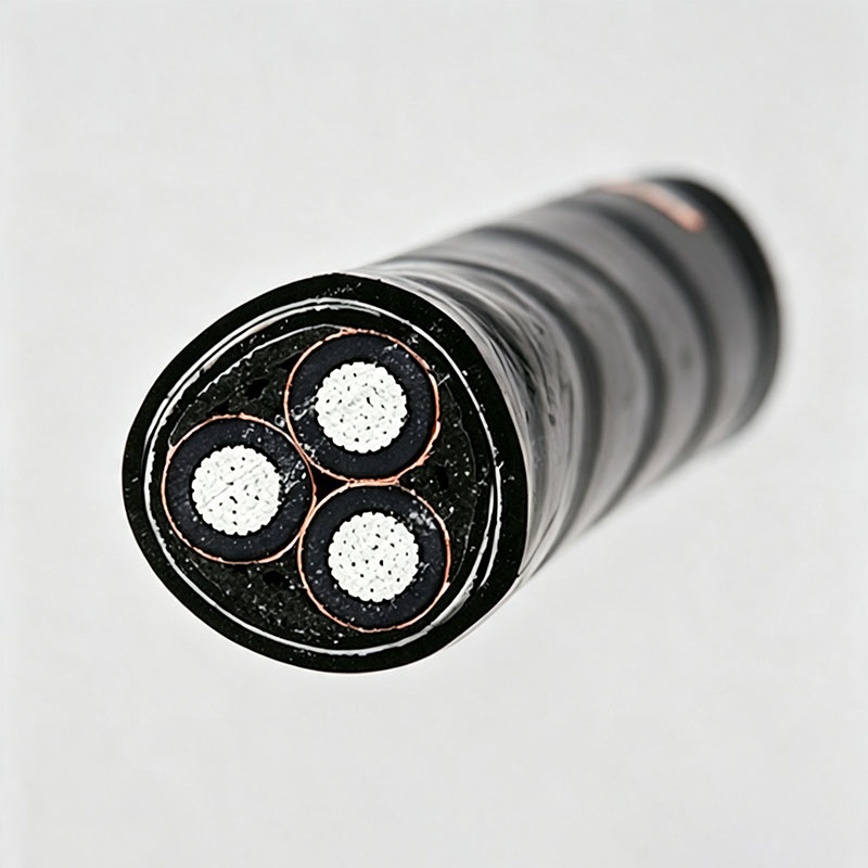 Главная3 (1)