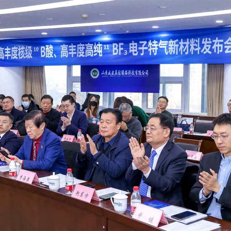 Высокая плотность обогащения 10B кислоты, высокая плотность обогащения и высокая чистота 11BF3 электронный газ презентация