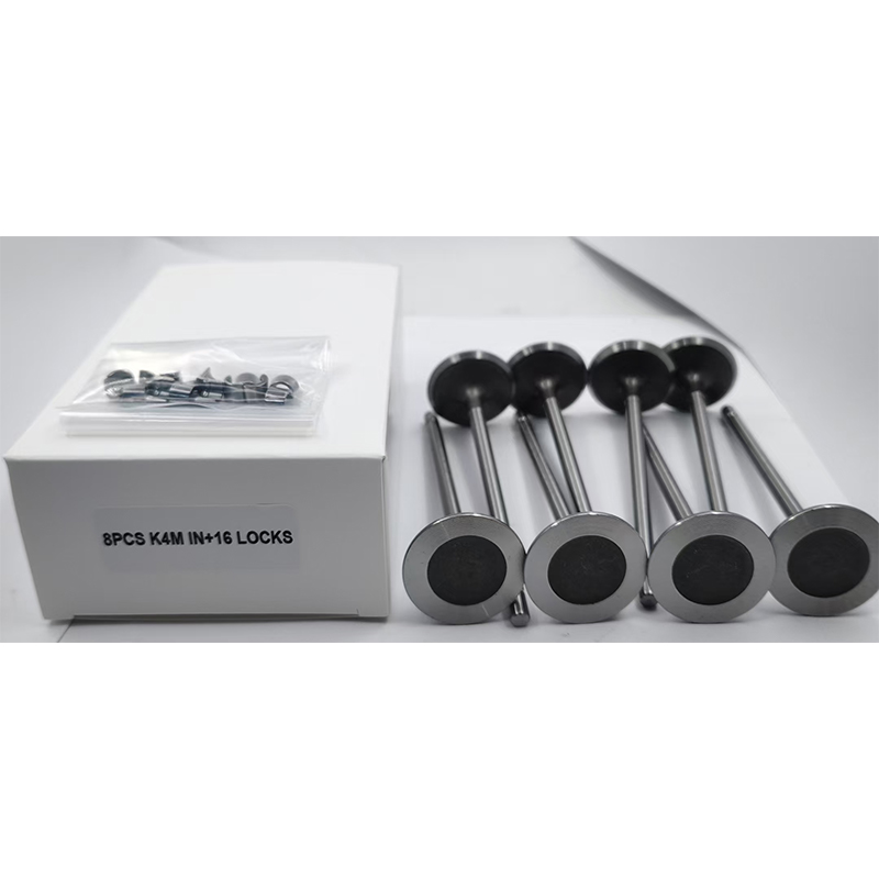 Комплект клапанов K4M