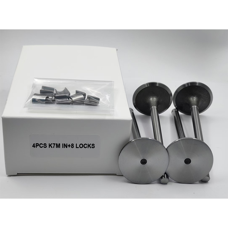 Комплект клапанов K7M