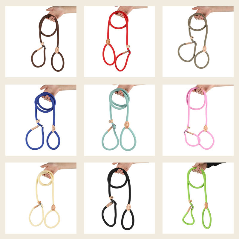 Поводок для домашних животных