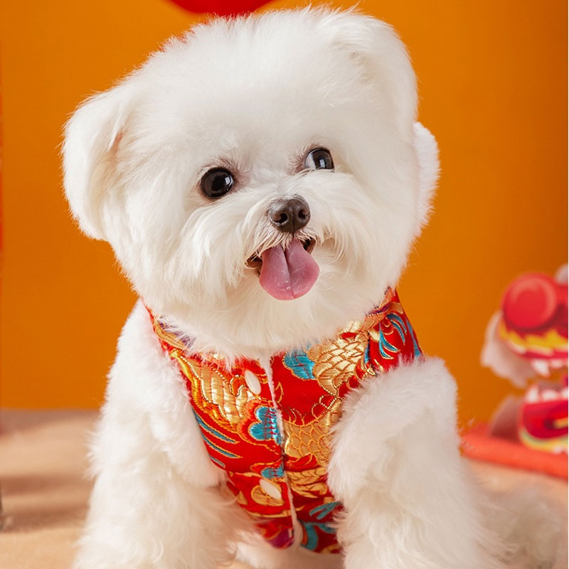 Зимняя теплая одежда для домашних животных