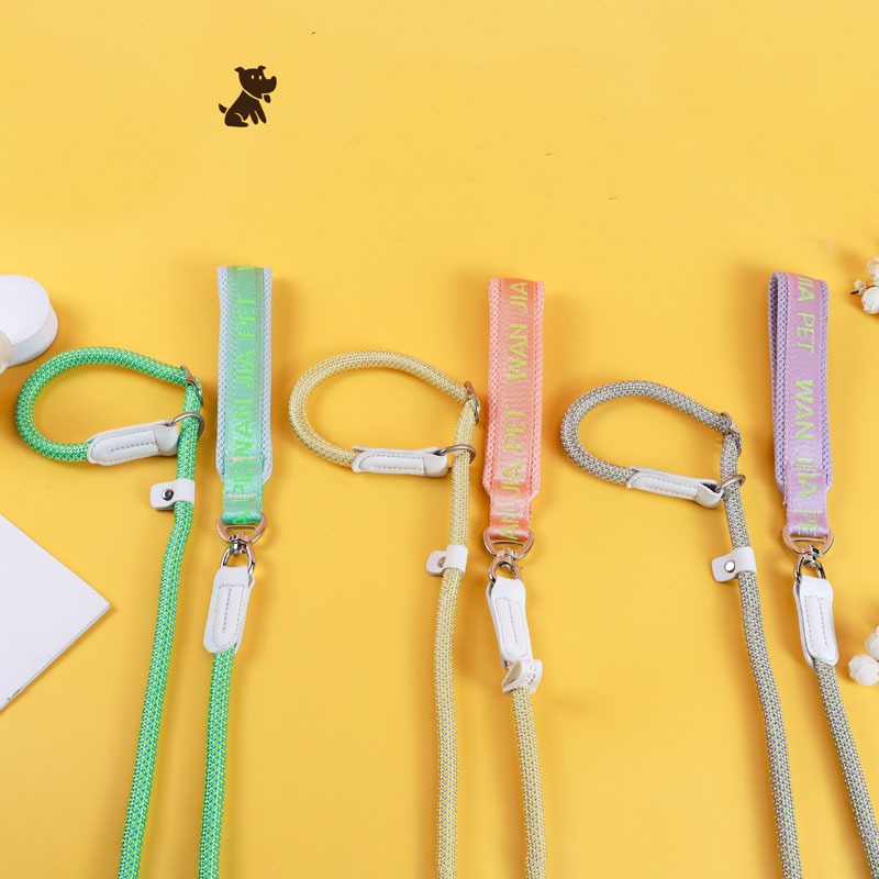 Поводок для домашних животных