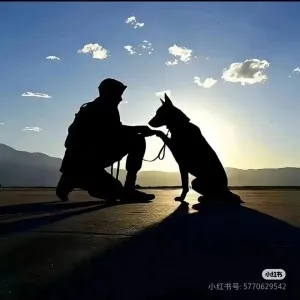 Владимир Васильевич