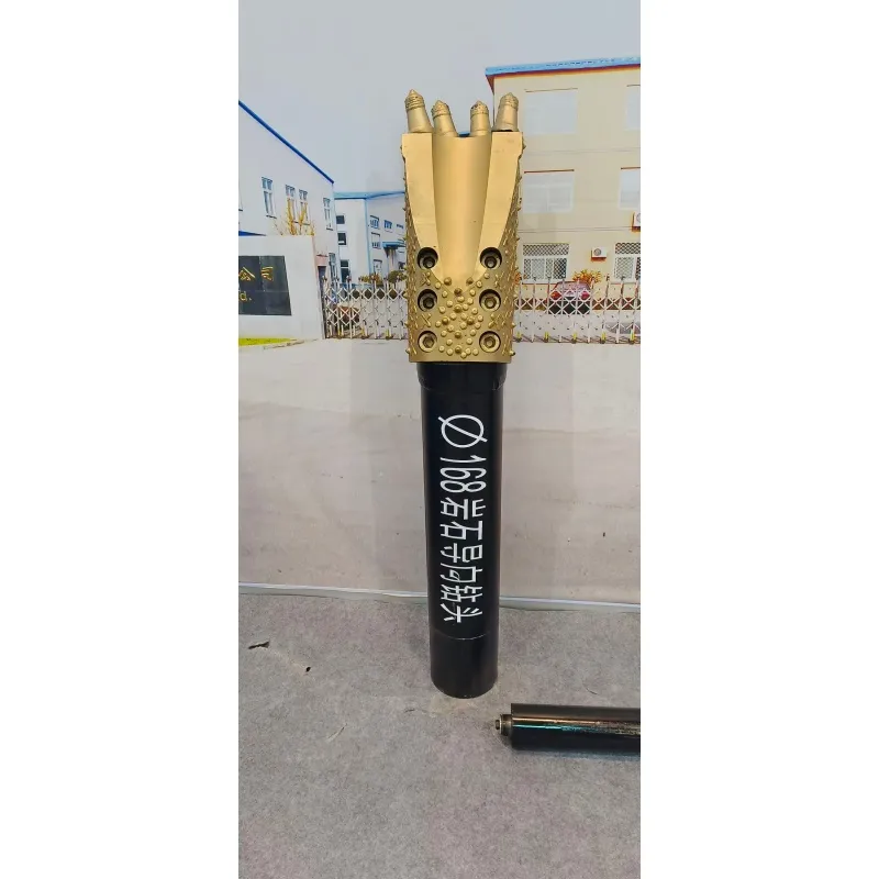 Пилотная буровая головка