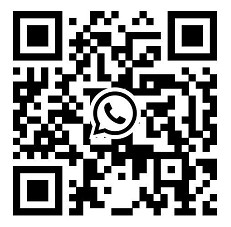 whatsapp:<br/>+8613648609994