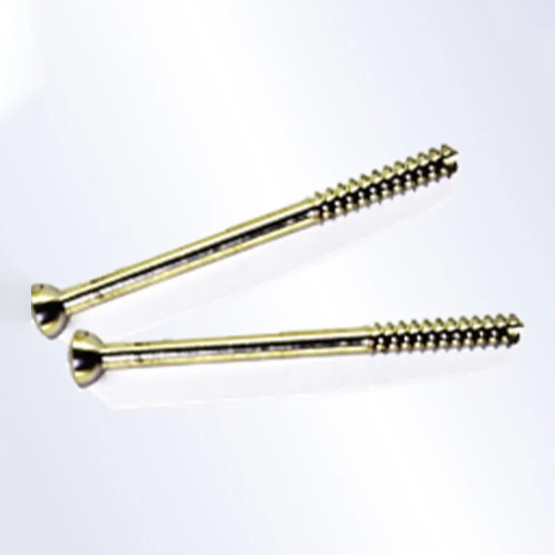 Канюлированный винт