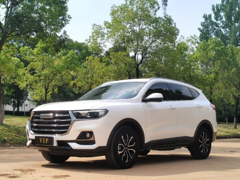 Haval H6 2021 628507 92 (12)