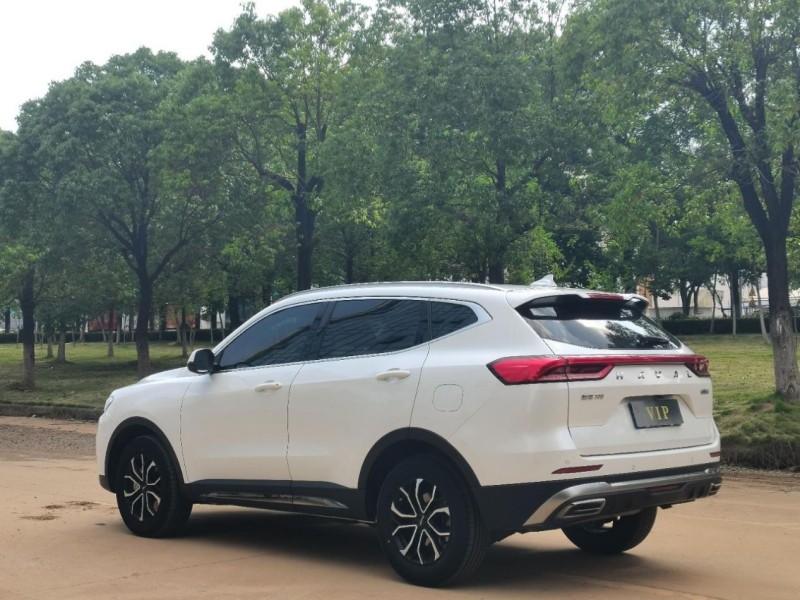 Haval H6 2021 628507 92 (15)