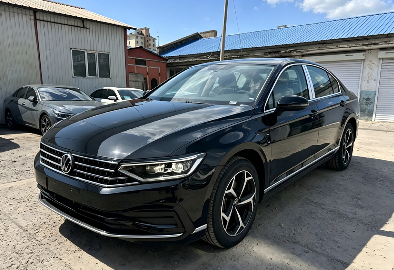 Volkswagen Magotan 2025-2 (4)