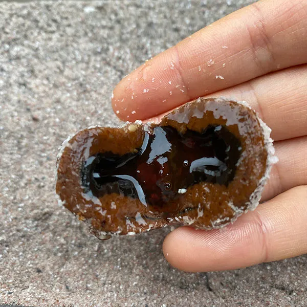 P188 Машина для начинки с тремя бункерами для изготовления шариков