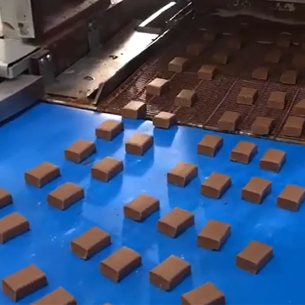 Оборудование для производства шоколадных протеиновых батончиков в Латвии успешно отлажено