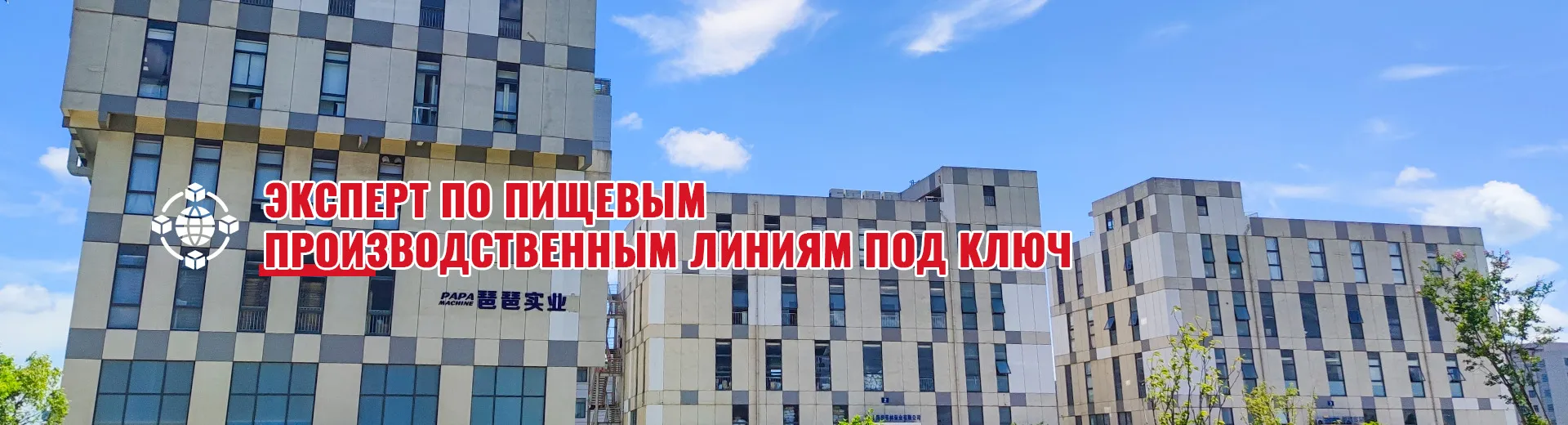 Автоматическая машина для изготовления маленьких фруктовых шариков P110