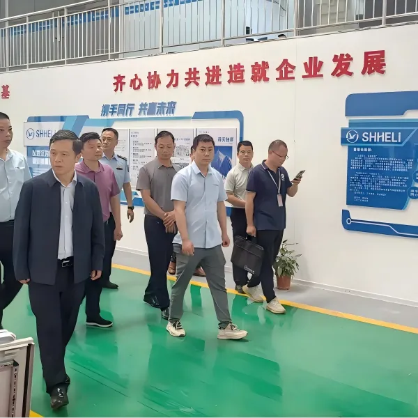 Председатель НПКСК района Цзянся Вэй Сюнвэй и сопровождающие его руководители провели выездную инспекцию производственной линии цеха ООО «Ухань Шихэли Электротехника»