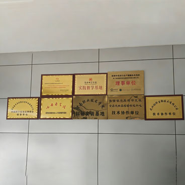 Главная 3-17 (3)