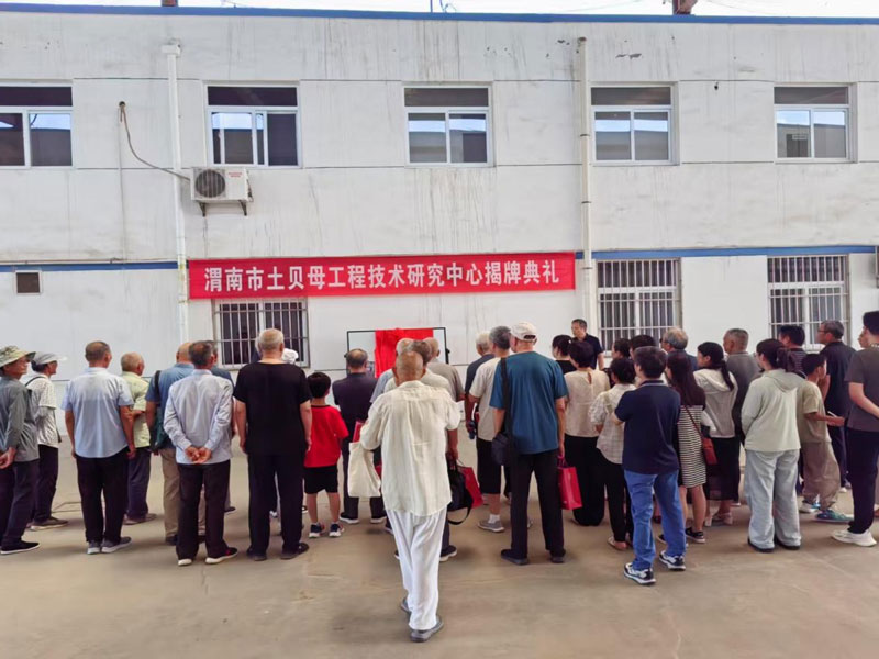 Новости 5 (2)