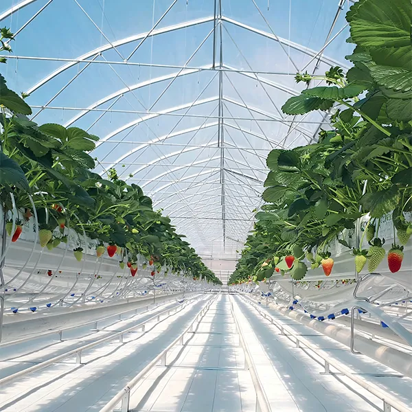 Плёнка для клубники