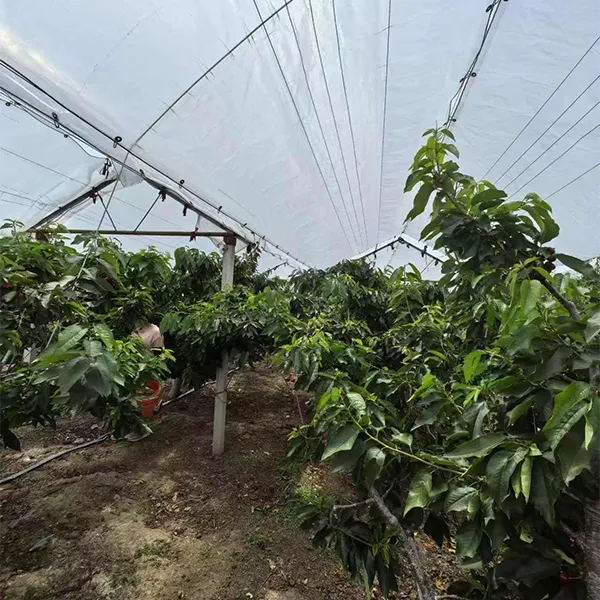 Стретч-плёнка