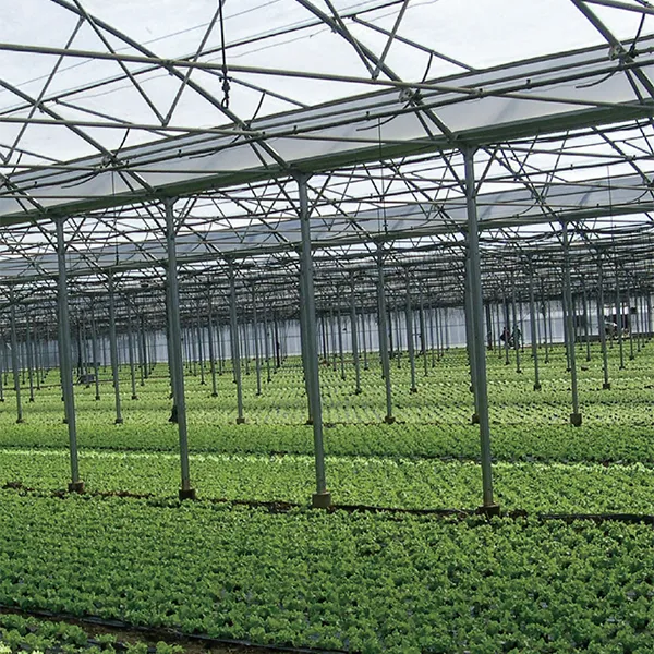 Плёнка для томатов