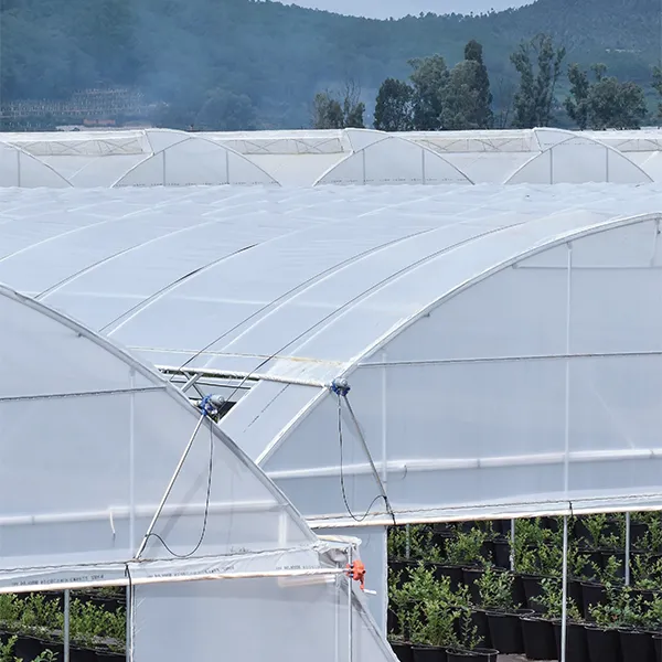 Плёнка для ягод