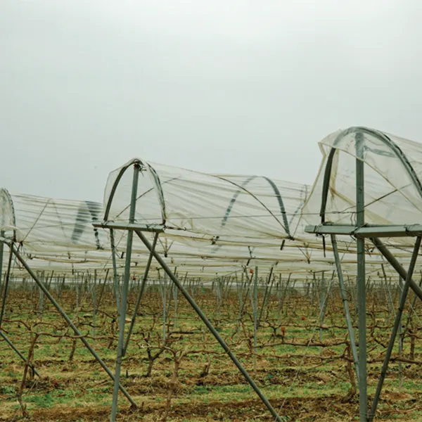 Плёнка для винограда