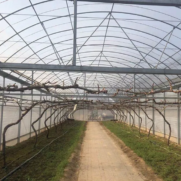 Плёнка для винограда