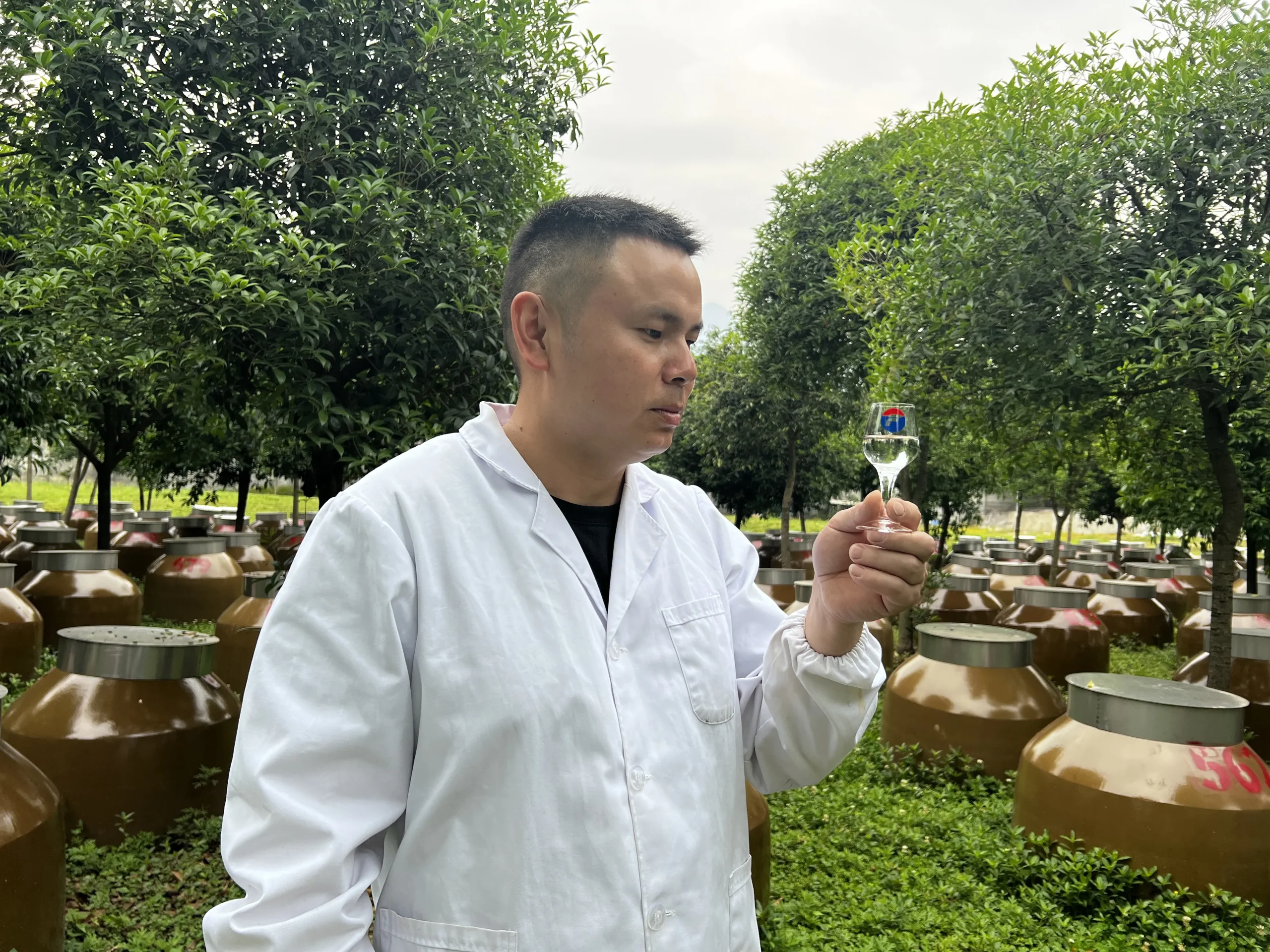 Как инновации влияют на производство ароматного байцзю?