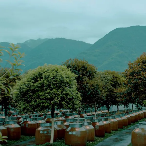 Сохраняя ремесленные секреты старинных погребов, Фэнчун бережно творит новый облик подлинного зернового байцзю