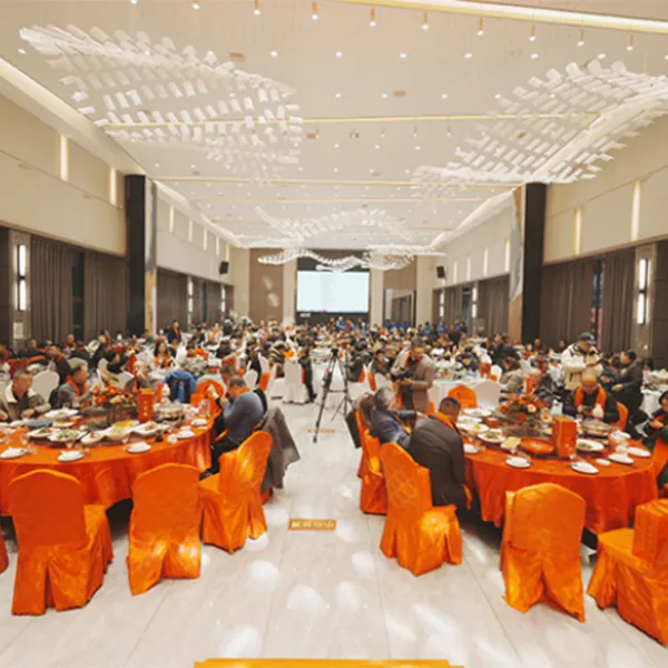 Вступая в год Дракона с новыми достижениями: премьера Фэнчун Линсю и весенний праздничный вечер