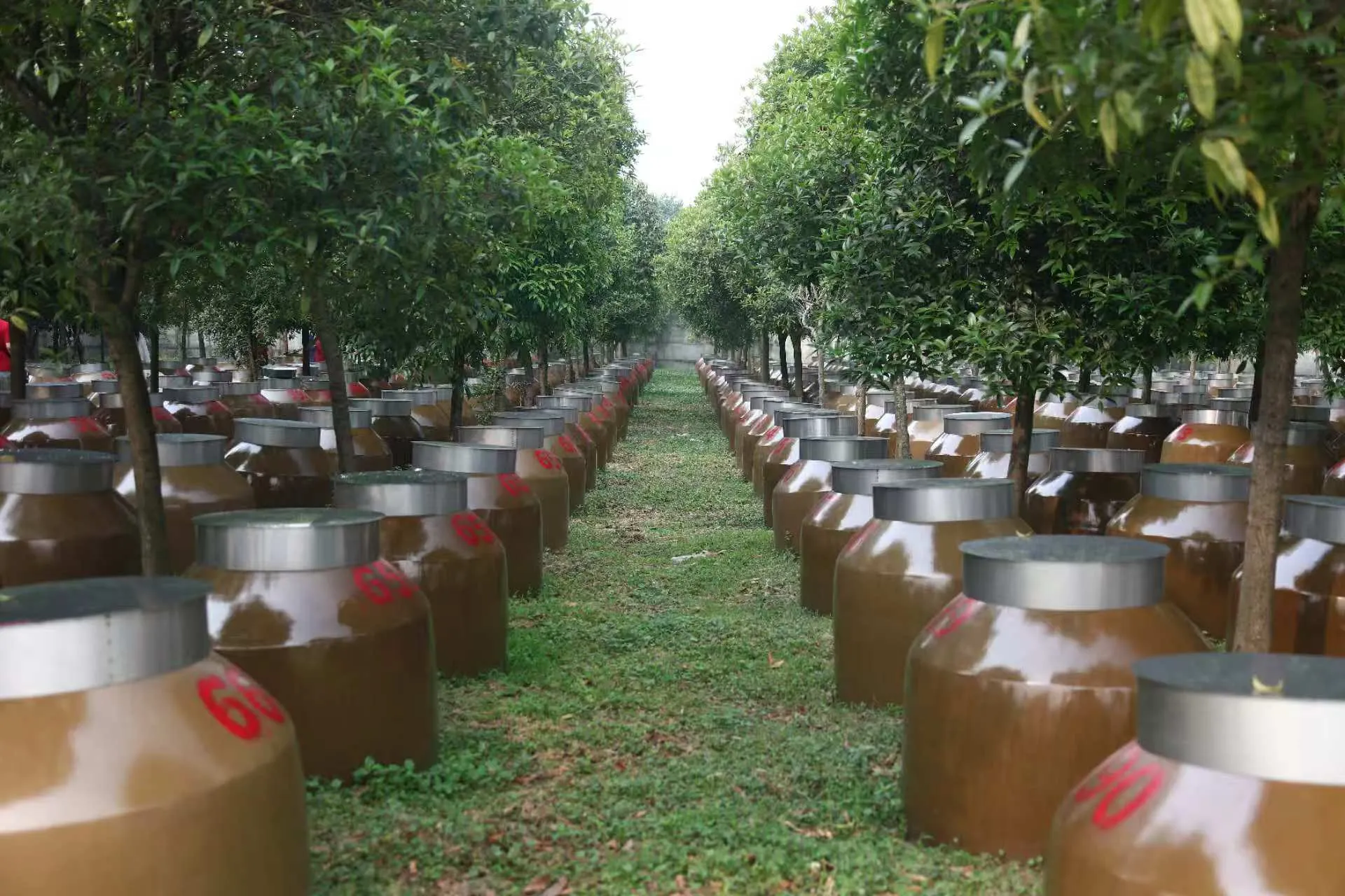 微信图片_20250521103814