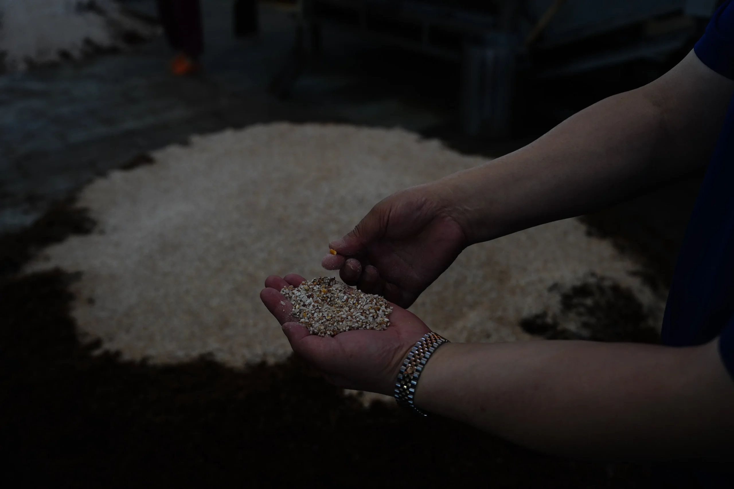 Как технологии влияют на эксклюзивное производство байцзю?