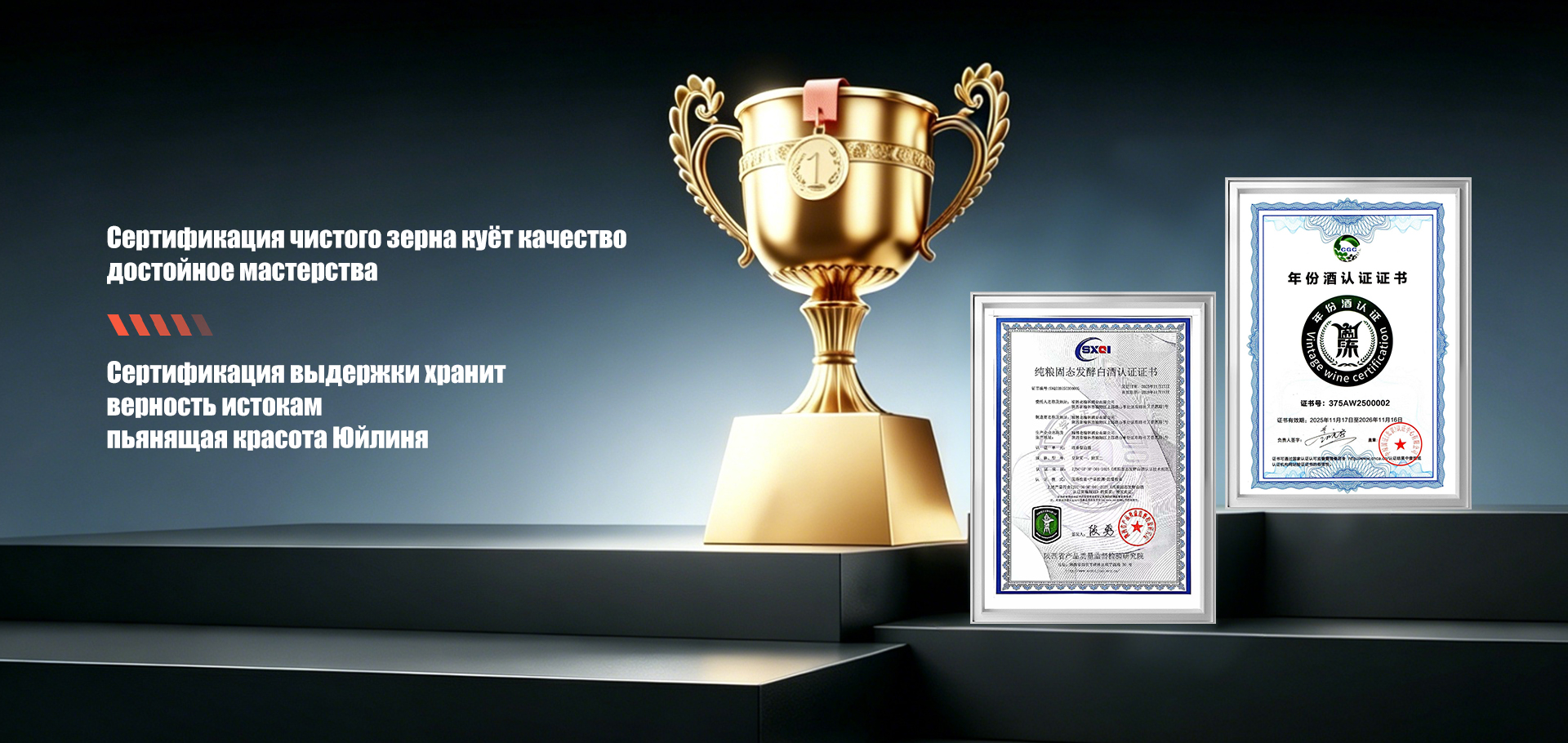Серия «Пекин Эрготоу»-banner1 (1)