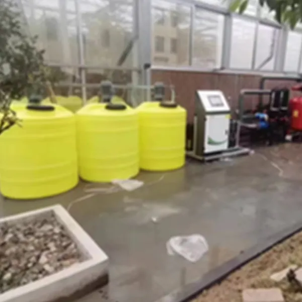 Цзянсу нанкин су юнь фрукты и овощи база 4000 акров солнечная роза проект интеграции удобрентй