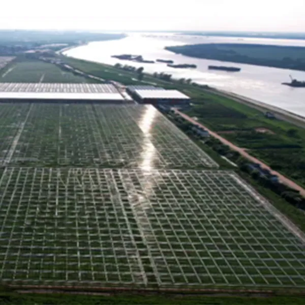 Проект демонстрационного индустриального парка современной сельскохозяйственной науки и техники в районе цзиньси города цзюцзян провинции цзянси