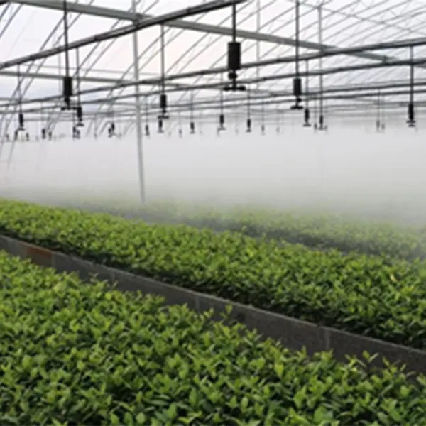 Линьи ланлинг 200 акров рассадная база