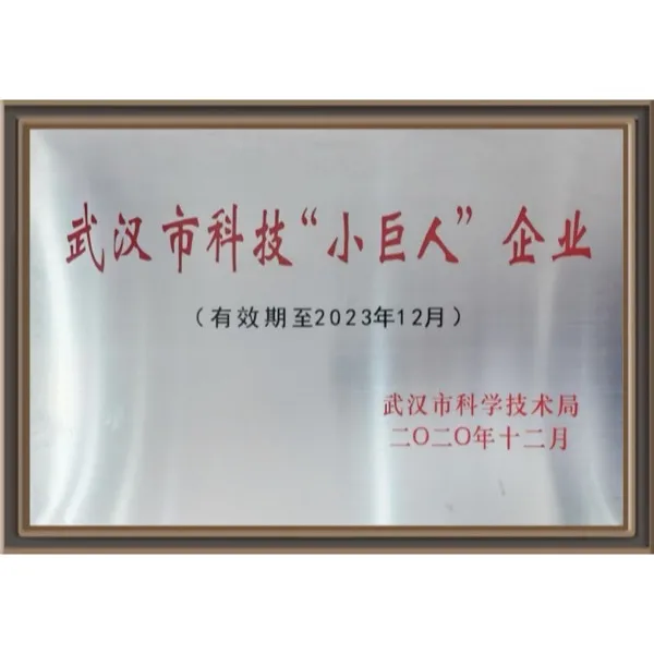 Сертификат Wuhan Silibo как научно-технического малого гиганта
