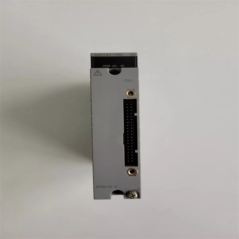 YOKOGAWA AAI143-H00 Модуль аналогового ввода