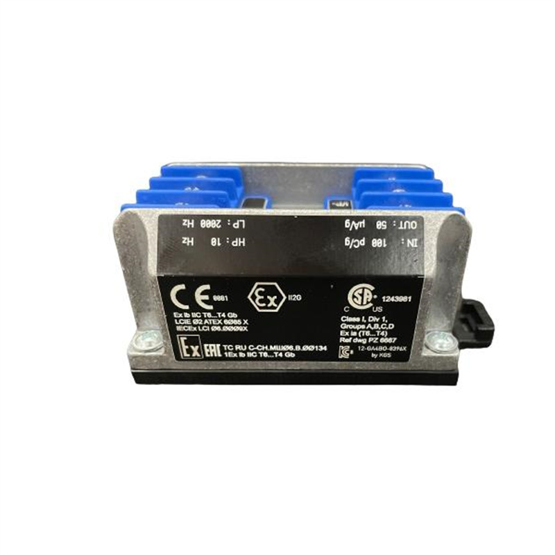 VIBRO-METER IPC704 244-704-000-042 A1-B03-C100-D100-E5-F2000-G0-H0-I0 Преобразователь сигнала